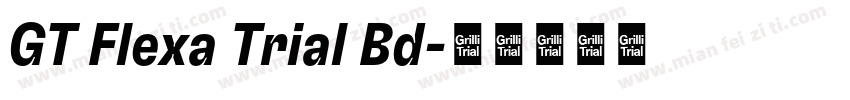 GT Flexa Trial Bd字体转换